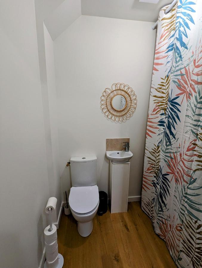 Douceur, Elegance Au Coeur D'Albi Apartment Ngoại thất bức ảnh