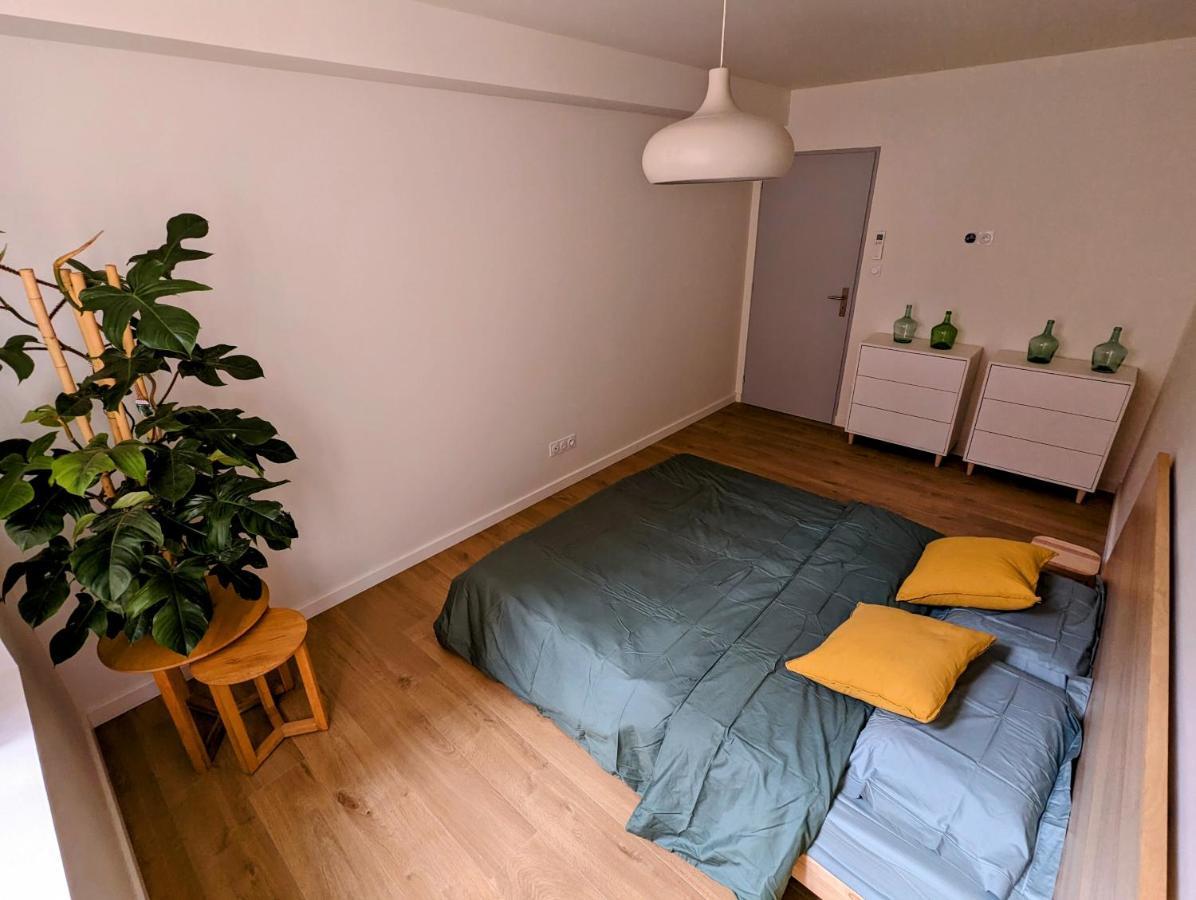 Douceur, Elegance Au Coeur D'Albi Apartment Ngoại thất bức ảnh