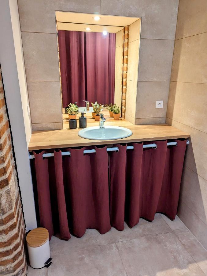 Douceur, Elegance Au Coeur D'Albi Apartment Ngoại thất bức ảnh